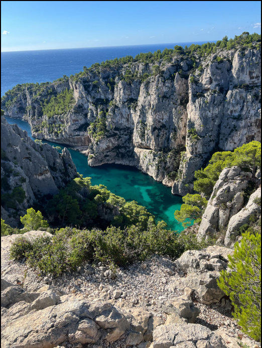Nature et environnement dans les Calanques
